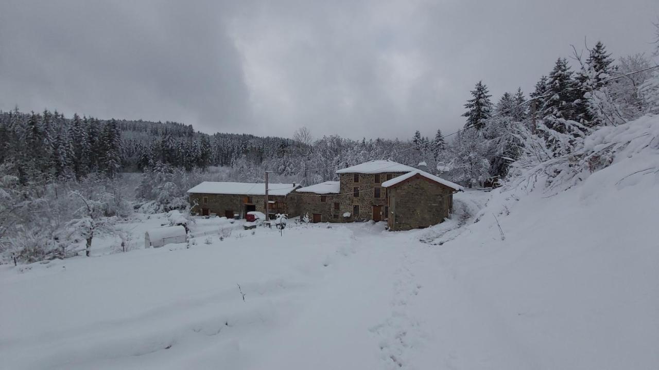 Gite Du Moulin Chenelette Eksteriør billede